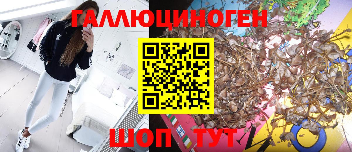 Псилоцибиновые грибы прущие грибы  Вход с VPN  Котельники  где можно купить наркотик  Псилоцибиновые грибы GOLDEN TEACHER 